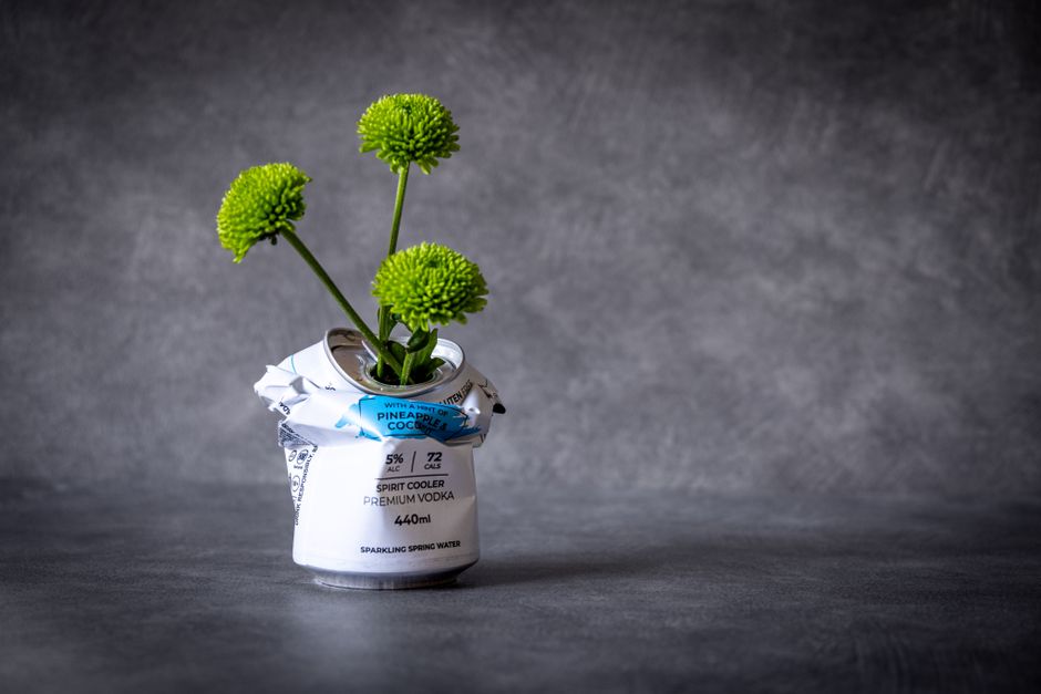 A creative floral arrangement featuring three bright green pom-pom chrysanthemums emerging from a repurposed aluminum can that retains its original beverage label, which includes details about a pinea
