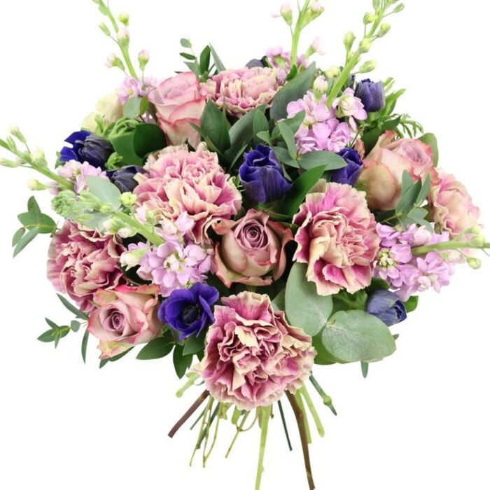 This hand-tied bouquet is photographed on a crisp white background, allowing every colour and texture to stand out with clarity and refinement. At the core of the design, full garden roses in dusty blush, antique rose, and mauve tones unfurl layer upon layer of soft petals, creating a romantic focal point that feels perfectly at home in a Mayfair drawing room. Interwoven with the roses are plentiful, ruffled carnations whose petals display a beautiful gradient: creamy centres melt into gentle blush before intensifying into rose-pink and plum along the frilled edges, lending the arrangement remarkable depth and volume. Punctuating the pinks, deep indigo-blue blooms appear as sleek, tulip-like buds, while a single open royal blue anemone with a dark, inky centre stands near the front, providing dramatic contrast and drawing the eye much like a statement jewel. Pale lilac and soft lavender stock flowers rise in slender stems through the bouquet; their clustered, delicate florets lend an airy, vertical movement as though the flowers were gently swaying in a light breeze over nearby Hyde Park. Around the blooms, glossy dark green foliage and distinctive silvery-green eucalyptus leaves with rounded forms provide a cool, contemporary frame, balancing the richness of the colours and suggesting a fresh, subtly herbal fragrance. The stems are clearly visible and tightly yet elegantly tied at the base, reflecting the practiced skill of a local Mayfair florist used to preparing bespoke gifts for townhouse celebrations and intimate restaurant tables near Shepherd Market. The overall impression is of an opulent yet gentle bouquet, ideal for weddings, anniversaries, heartfelt birthdays, or simply elevating a quiet corner of the home.